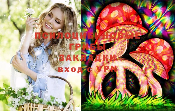 эйфоретик Арсеньев