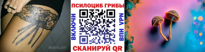 Купить  Гудермес  Псилоцибиновые грибы ЛСД 